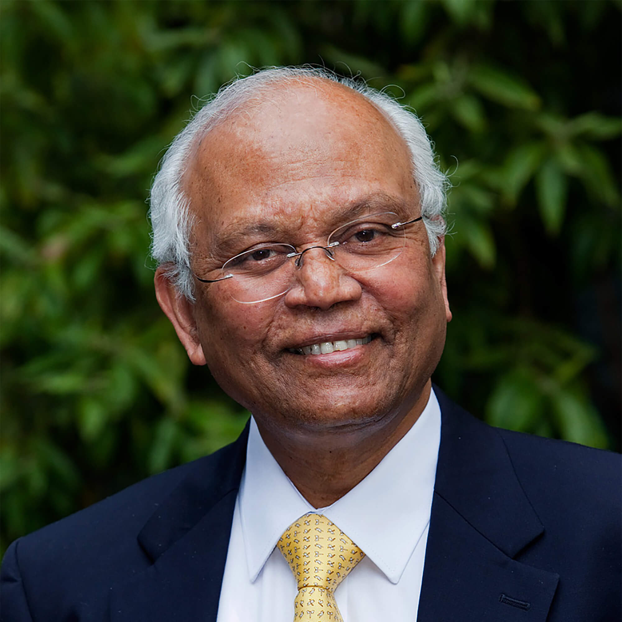 Raghunath Anant Mashelkar
