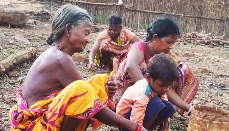 DMFs need planning and administration reform