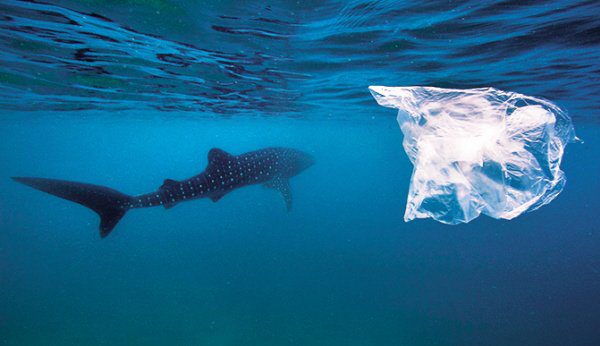 Single-use-plastics bans have failed. Relying on command and control to fix environmental problems is taking us nowhere