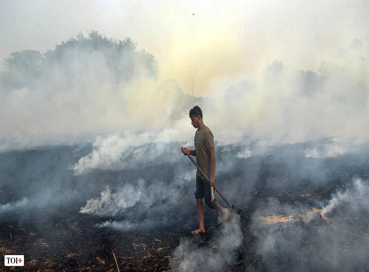 Don’t Delhi and Punjab govts breathe the same air? There is much AAP can do to cut stubble burning and pollution, if it chooses to do so