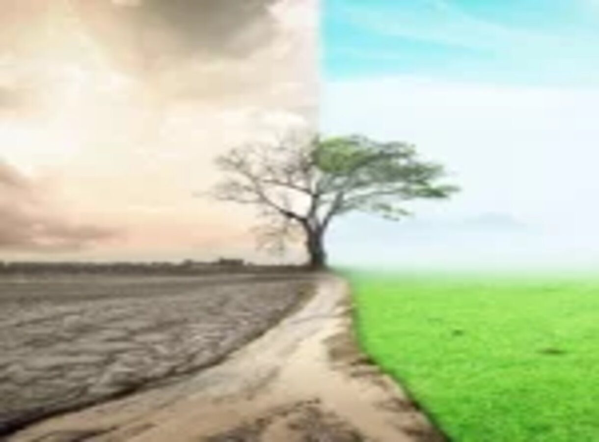 Is the Environmental Performance Index really faulty?