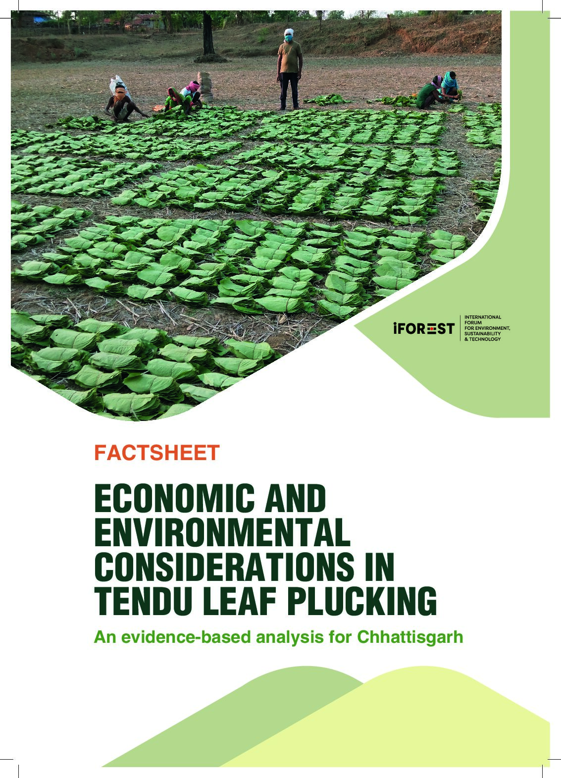 Economic & environmental considerations in tendu leaf plucking – An evidence-based analysis for Chhattisgarh